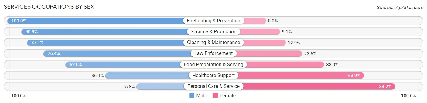 Services Occupations by Sex in Zip Code 17547