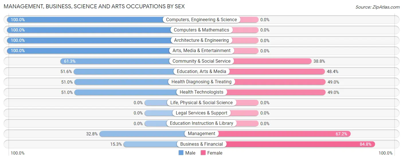 Management, Business, Science and Arts Occupations by Sex in Zip Code 17560