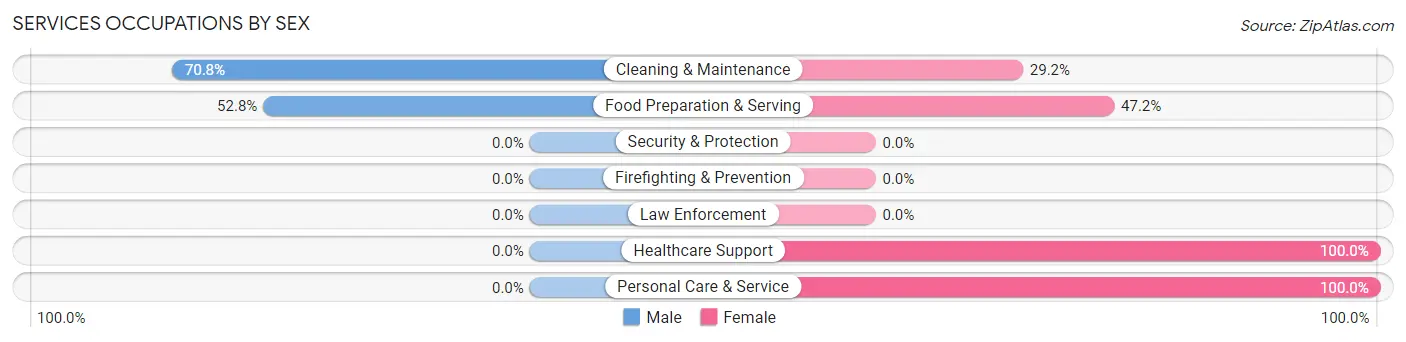 Services Occupations by Sex in Zip Code 17560