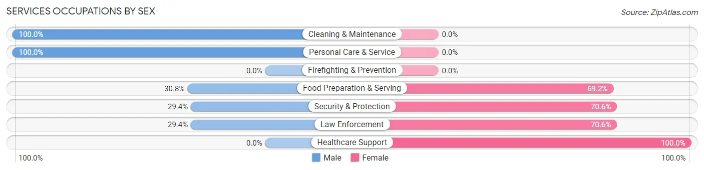 Services Occupations by Sex in Zip Code 17563