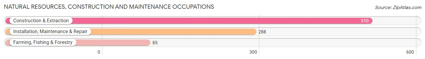 Natural Resources, Construction and Maintenance Occupations in Zip Code 17566