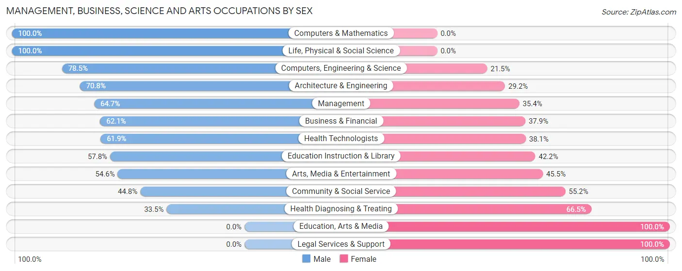 Management, Business, Science and Arts Occupations by Sex in Zip Code 17569