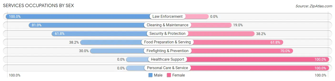 Services Occupations by Sex in Zip Code 17569