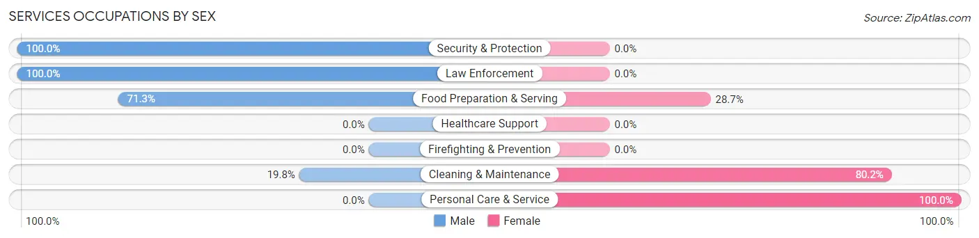 Services Occupations by Sex in Zip Code 17572