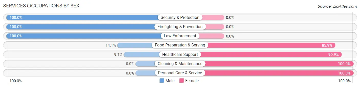 Services Occupations by Sex in Zip Code 17578