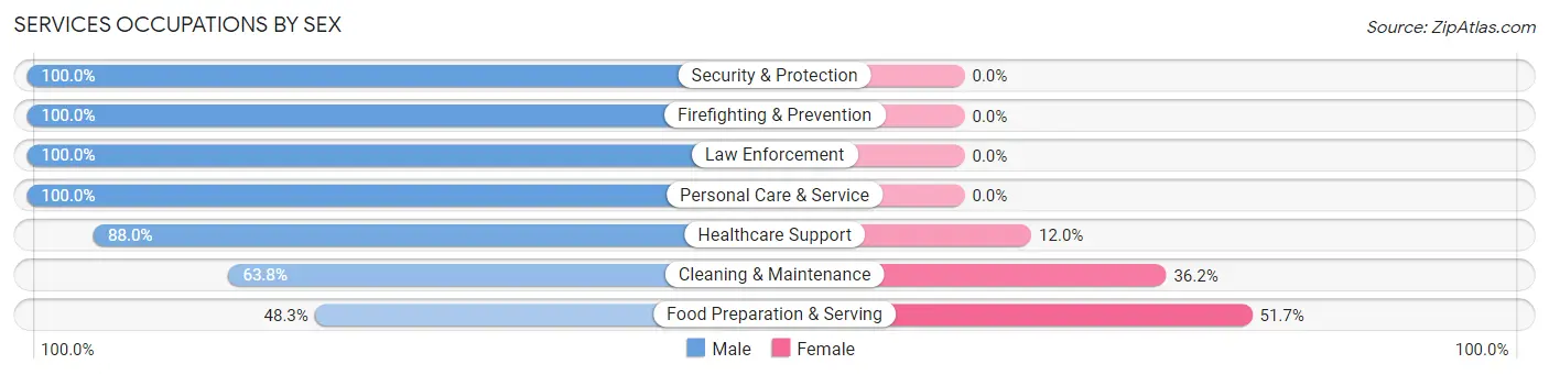 Services Occupations by Sex in Zip Code 17579