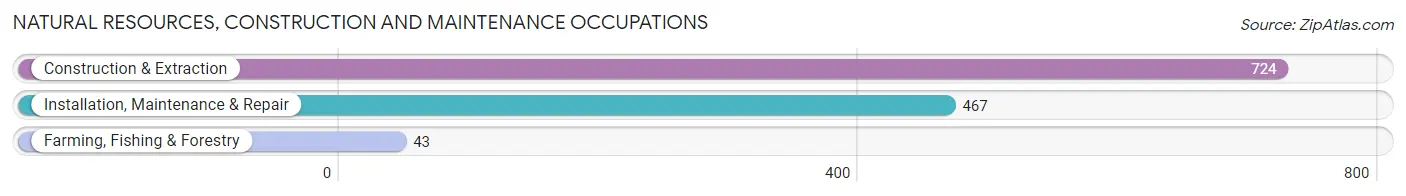 Natural Resources, Construction and Maintenance Occupations in Zip Code 17602