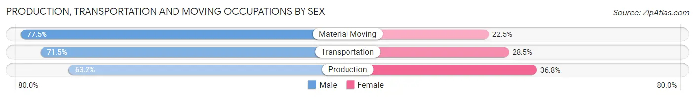 Production, Transportation and Moving Occupations by Sex in Zip Code 17602