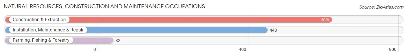 Natural Resources, Construction and Maintenance Occupations in Zip Code 17701