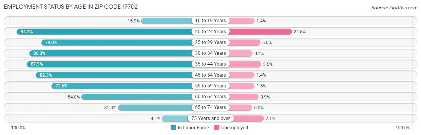 Employment Status by Age in Zip Code 17702