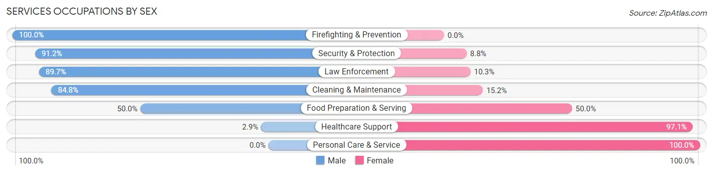 Services Occupations by Sex in Zip Code 17728