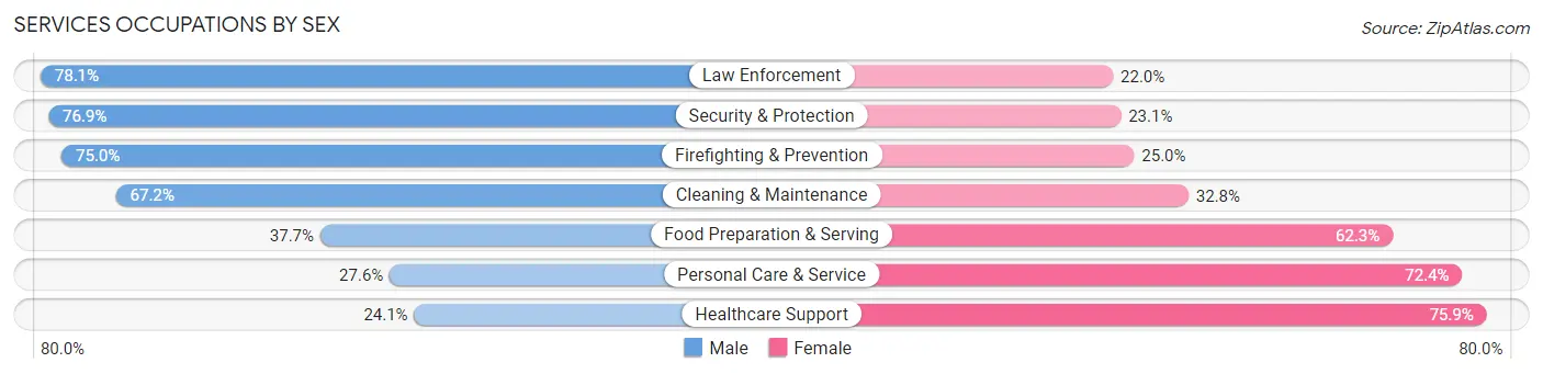 Services Occupations by Sex in Zip Code 17737