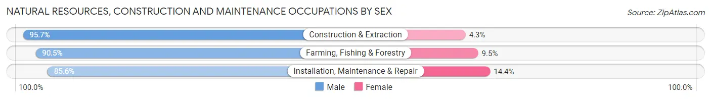 Natural Resources, Construction and Maintenance Occupations by Sex in Zip Code 17747