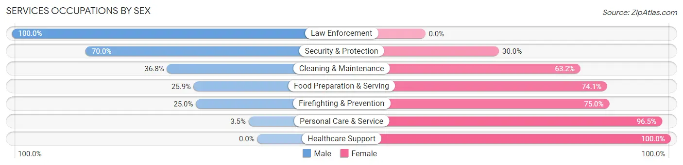 Services Occupations by Sex in Zip Code 17747