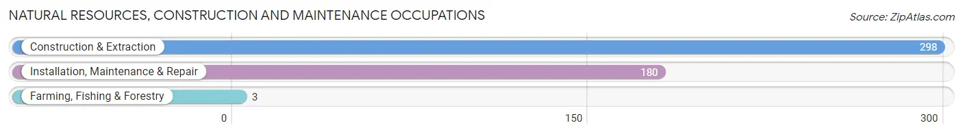 Natural Resources, Construction and Maintenance Occupations in Zip Code 17754