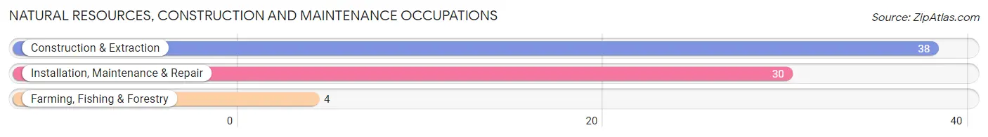 Natural Resources, Construction and Maintenance Occupations in Zip Code 17758