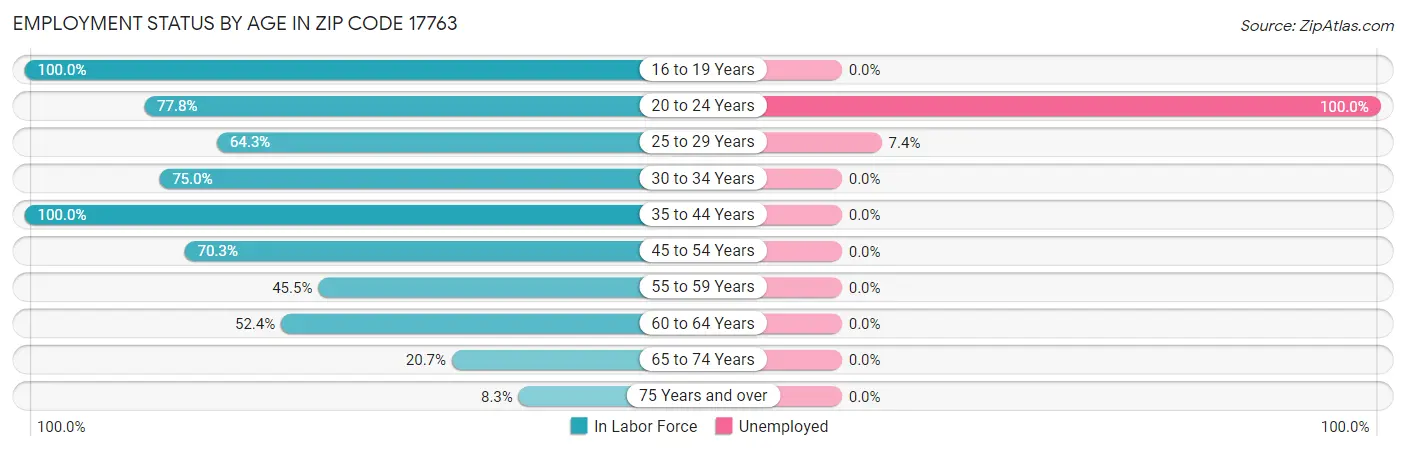 Employment Status by Age in Zip Code 17763
