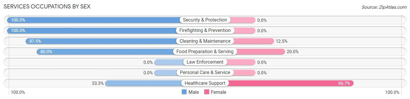 Services Occupations by Sex in Zip Code 17776