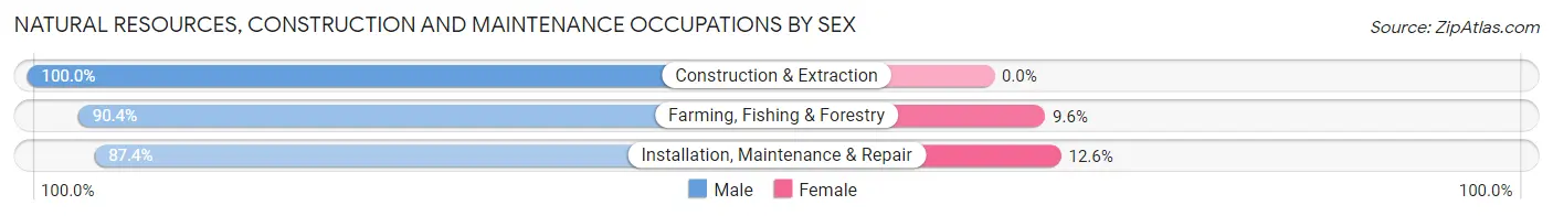 Natural Resources, Construction and Maintenance Occupations by Sex in Zip Code 17777