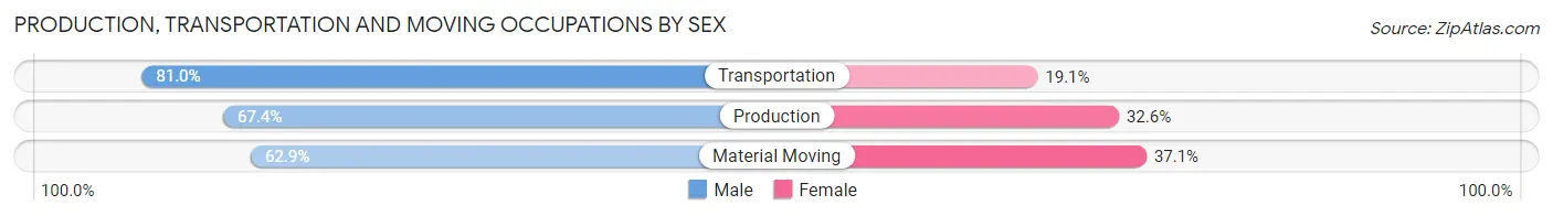 Production, Transportation and Moving Occupations by Sex in Zip Code 17777