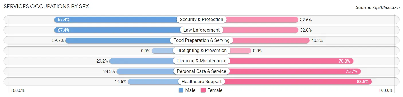 Services Occupations by Sex in Zip Code 17777