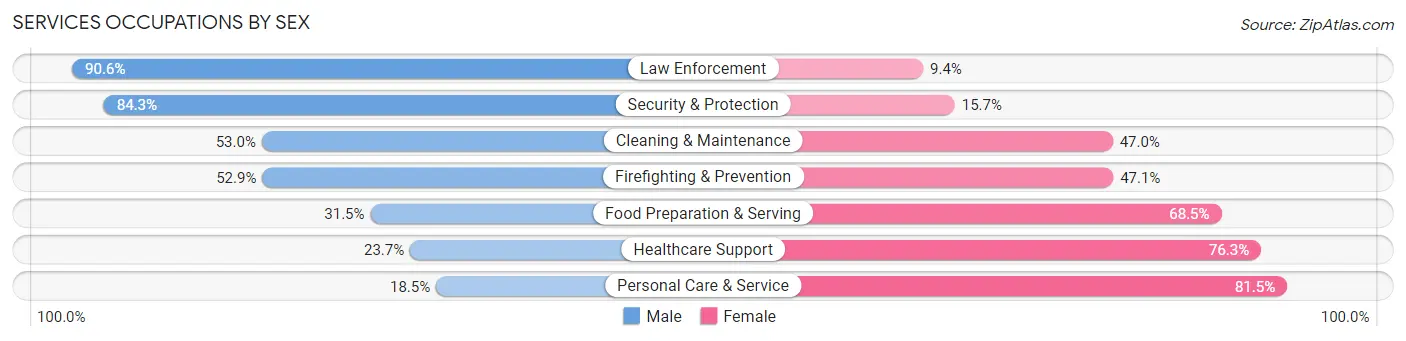 Services Occupations by Sex in Zip Code 17801