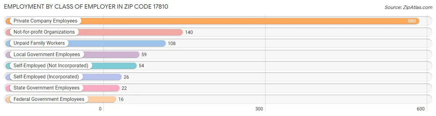 Employment by Class of Employer in Zip Code 17810