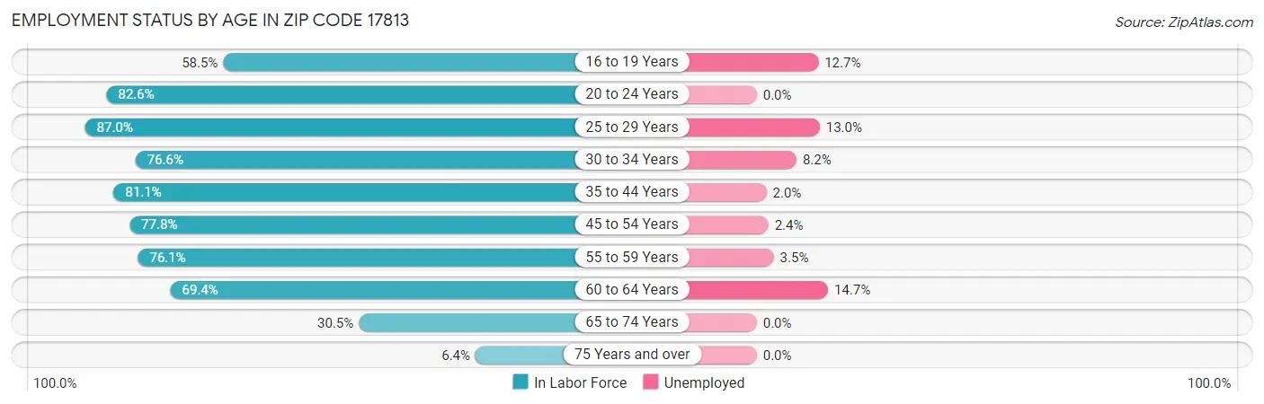 Employment Status by Age in Zip Code 17813