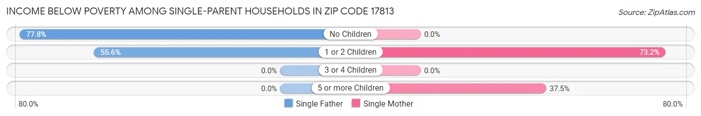 Income Below Poverty Among Single-Parent Households in Zip Code 17813