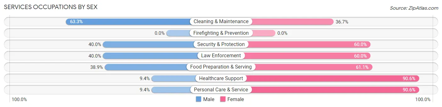Services Occupations by Sex in Zip Code 17813