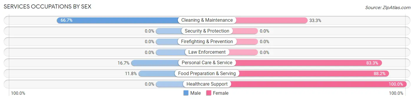 Services Occupations by Sex in Zip Code 17823