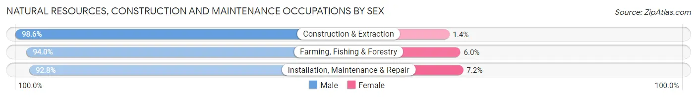 Natural Resources, Construction and Maintenance Occupations by Sex in Zip Code 17842