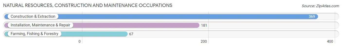 Natural Resources, Construction and Maintenance Occupations in Zip Code 17842