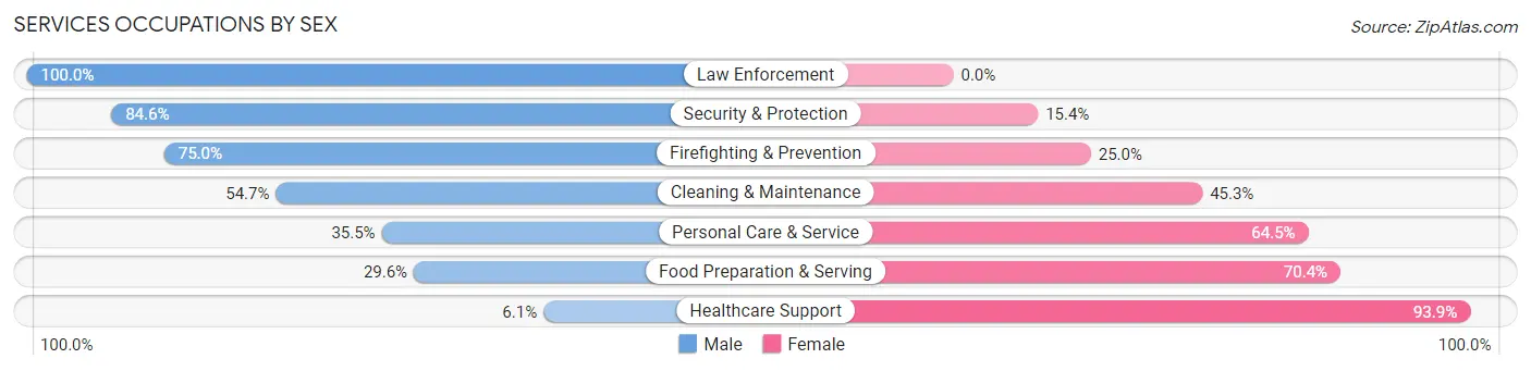 Services Occupations by Sex in Zip Code 17846