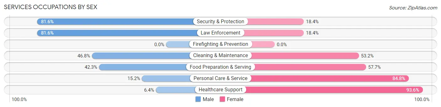 Services Occupations by Sex in Zip Code 17847