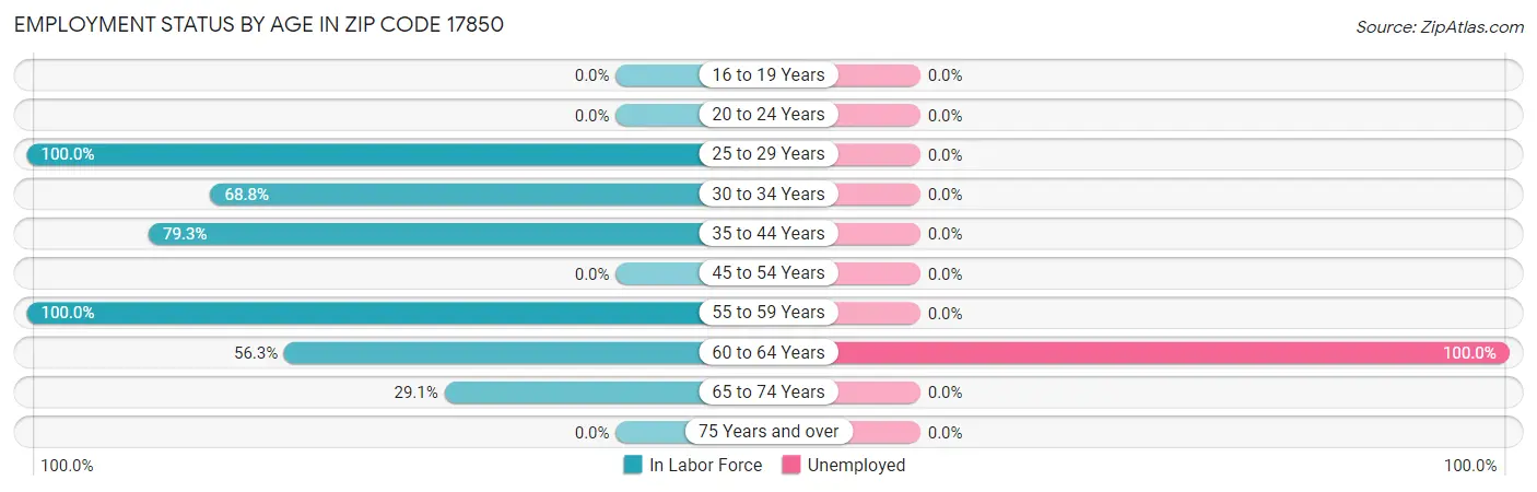 Employment Status by Age in Zip Code 17850