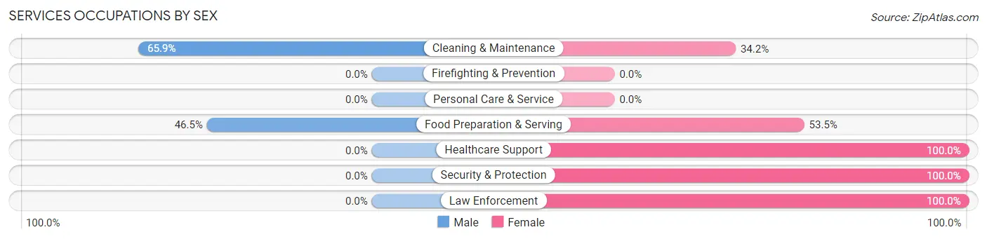 Services Occupations by Sex in Zip Code 17850
