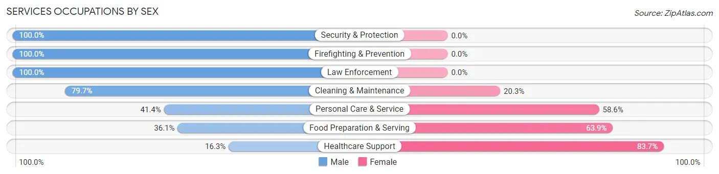 Services Occupations by Sex in Zip Code 17851