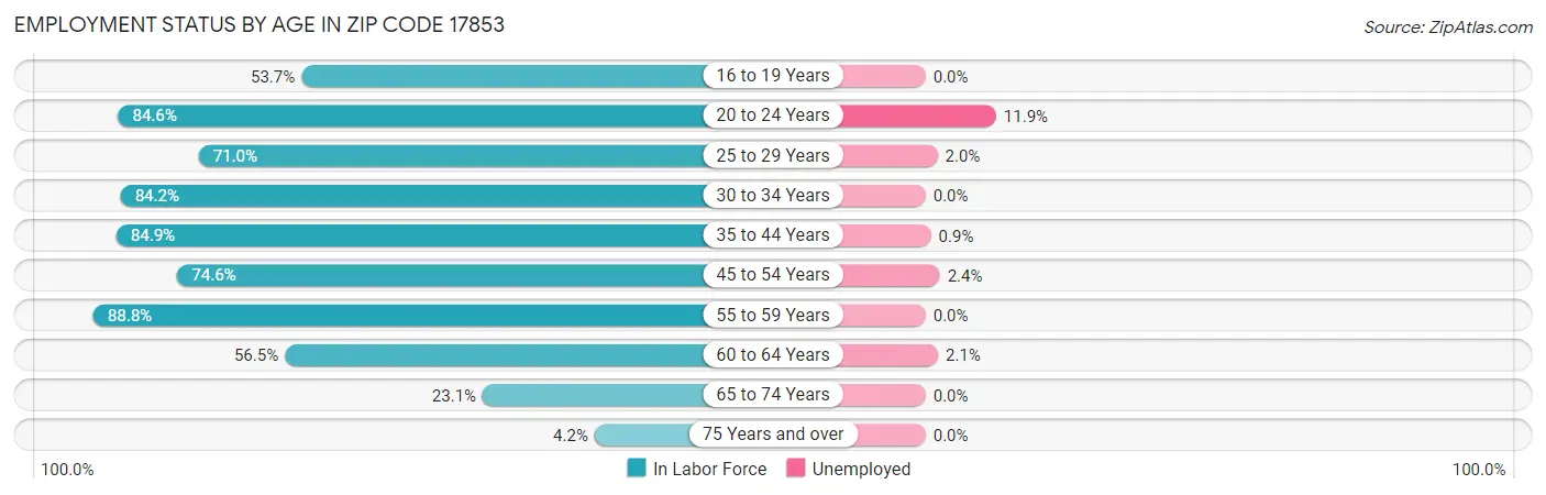 Employment Status by Age in Zip Code 17853