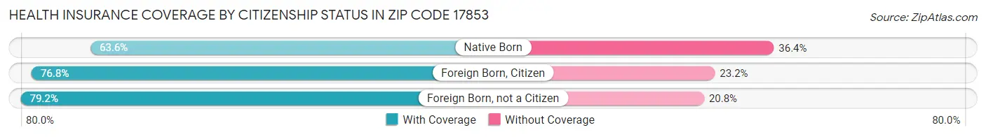Health Insurance Coverage by Citizenship Status in Zip Code 17853