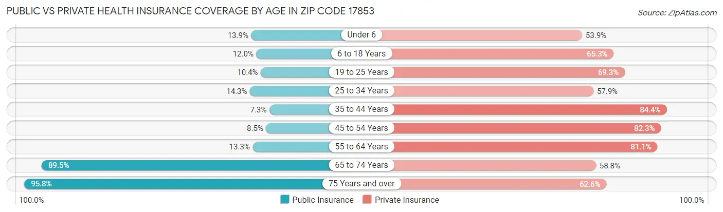 Public vs Private Health Insurance Coverage by Age in Zip Code 17853