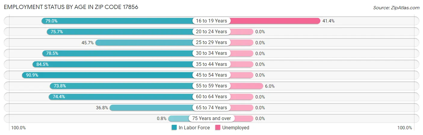 Employment Status by Age in Zip Code 17856