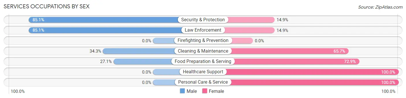 Services Occupations by Sex in Zip Code 17856