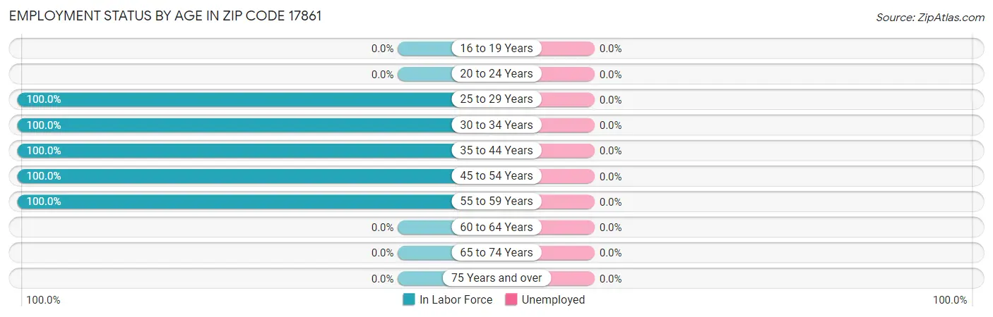 Employment Status by Age in Zip Code 17861