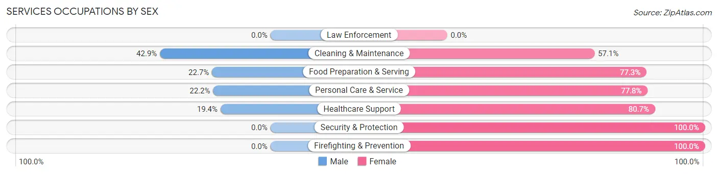 Services Occupations by Sex in Zip Code 17864