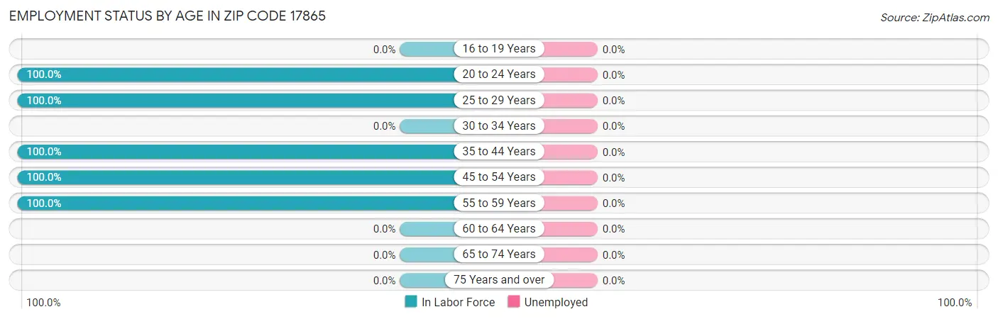 Employment Status by Age in Zip Code 17865