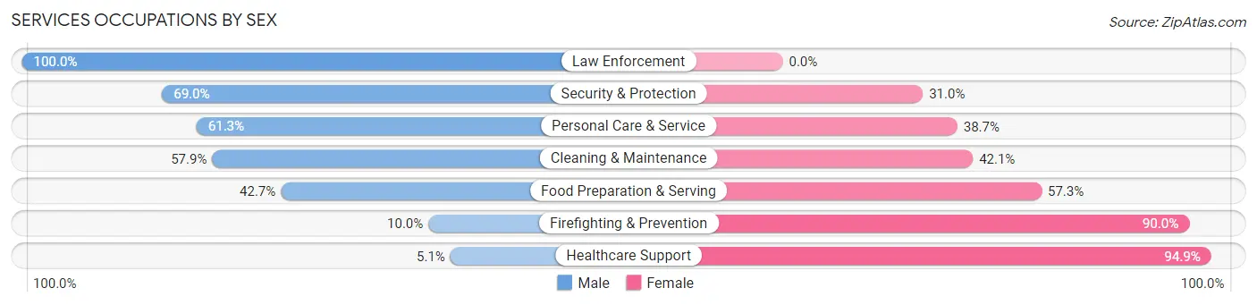 Services Occupations by Sex in Zip Code 17870