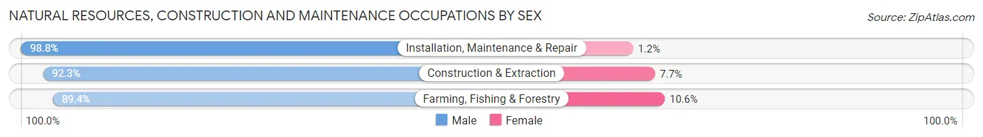 Natural Resources, Construction and Maintenance Occupations by Sex in Zip Code 17872