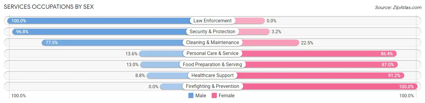 Services Occupations by Sex in Zip Code 17872