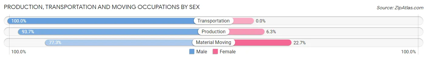 Production, Transportation and Moving Occupations by Sex in Zip Code 17876